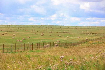 首页- am8亚美集团旗舰厅官网