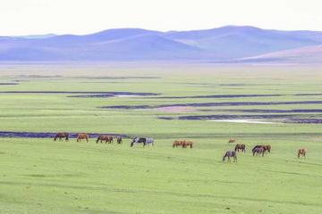 首页- am8亚美集团旗舰厅官网