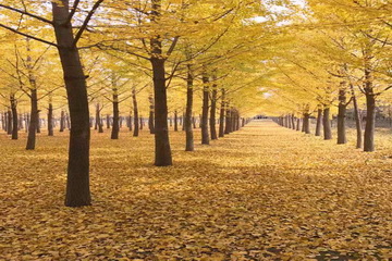 首页- am8亚美集团旗舰厅官网