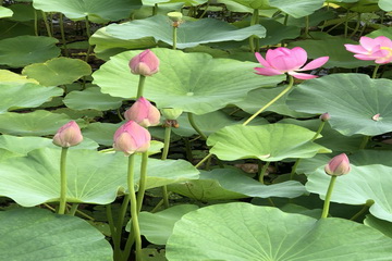 首页- am8亚美集团旗舰厅官网