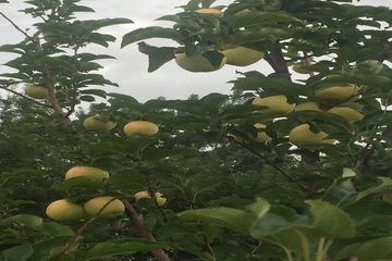 首页- am8亚美集团旗舰厅官网