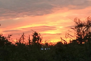 首页- am8亚美集团旗舰厅官网