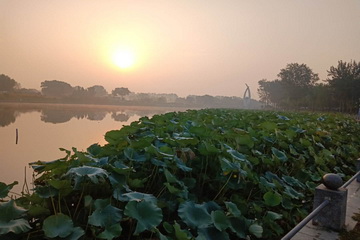首页- am8亚美集团旗舰厅官网