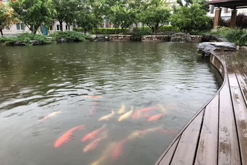 首页- am8亚美集团旗舰厅官网