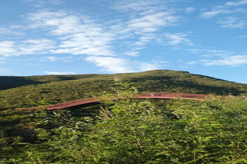 首页- am8亚美集团旗舰厅官网