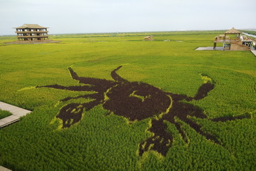 首页- am8亚美集团旗舰厅官网