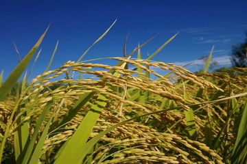 首页- am8亚美集团旗舰厅官网