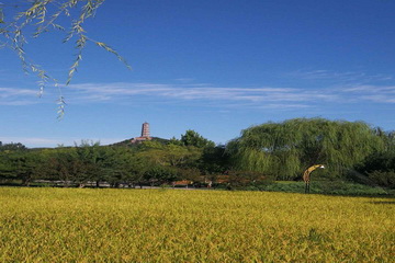 首页- am8亚美集团旗舰厅官网