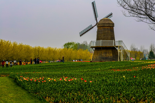 首页- am8亚美集团旗舰厅官网