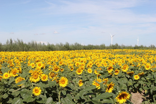 首页- am8亚美集团旗舰厅官网