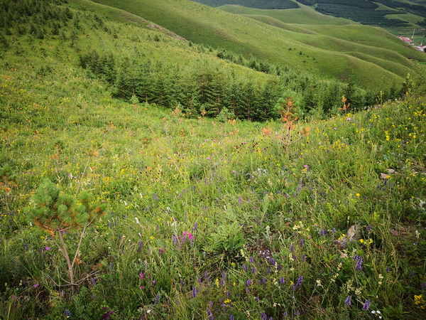 首页- am8亚美集团旗舰厅官网