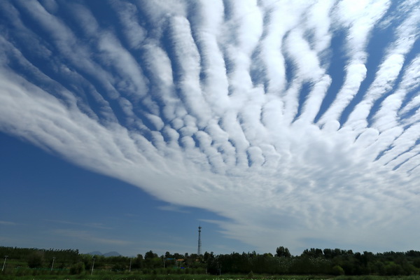 首页- am8亚美集团旗舰厅官网