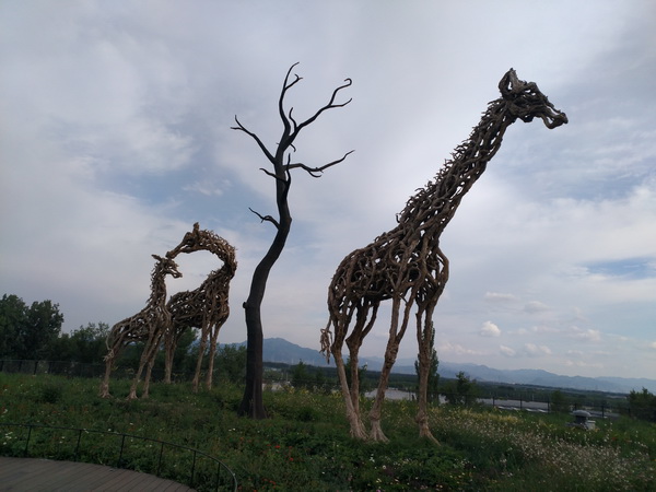 首页- am8亚美集团旗舰厅官网