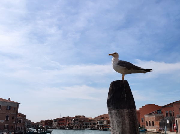 首页- am8亚美集团旗舰厅官网