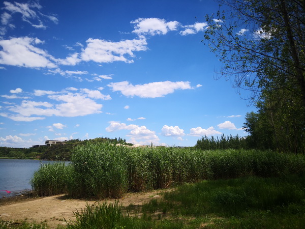 首页- am8亚美集团旗舰厅官网