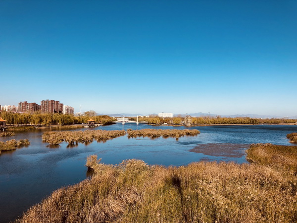 首页- am8亚美集团旗舰厅官网