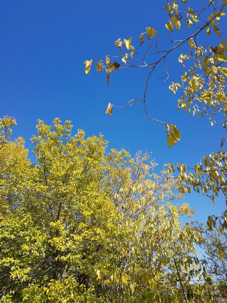 首页- am8亚美集团旗舰厅官网