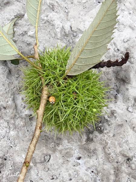 首页- am8亚美集团旗舰厅官网