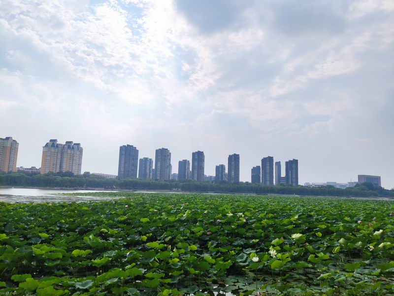 首页- am8亚美集团旗舰厅官网