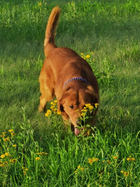 首页- am8亚美集团旗舰厅官网