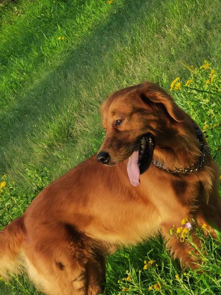 首页- am8亚美集团旗舰厅官网