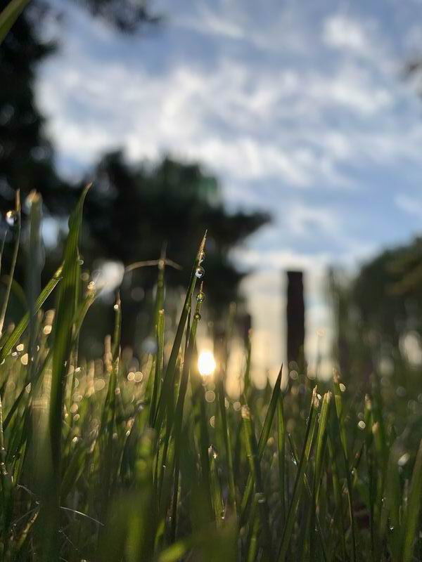 首页- am8亚美集团旗舰厅官网