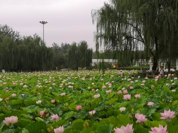 首页- am8亚美集团旗舰厅官网