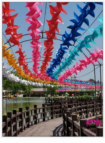 首页- am8亚美集团旗舰厅官网