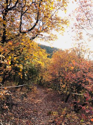 首页- am8亚美集团旗舰厅官网