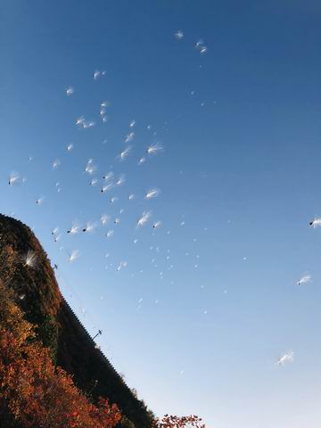 首页- am8亚美集团旗舰厅官网