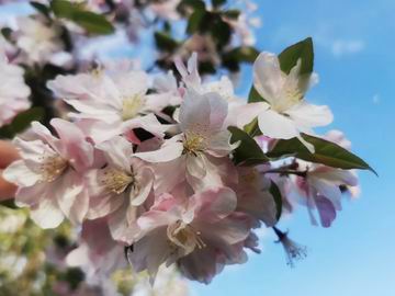 首页- am8亚美集团旗舰厅官网