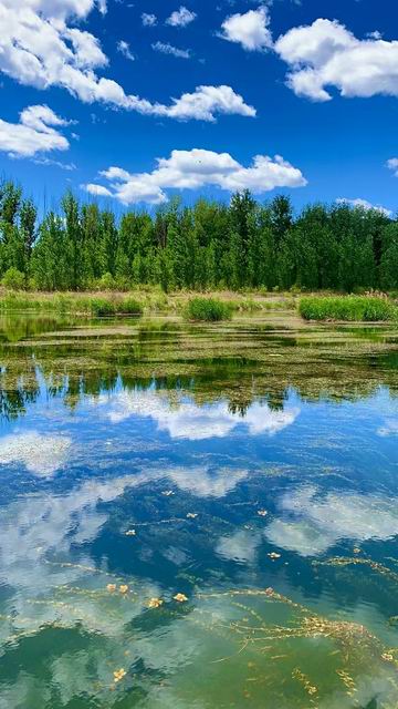 首页- am8亚美集团旗舰厅官网