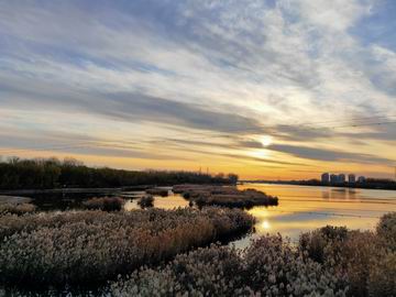 首页- am8亚美集团旗舰厅官网