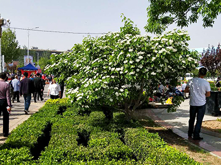 首页- am8亚美集团旗舰厅官网