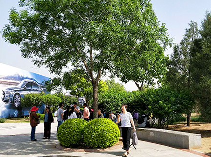 首页- am8亚美集团旗舰厅官网