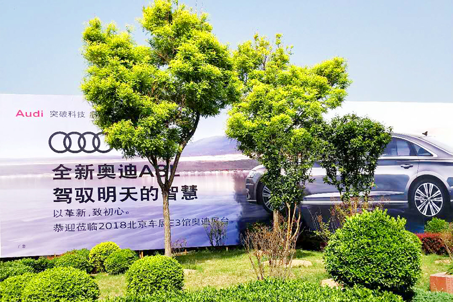 首页- am8亚美集团旗舰厅官网