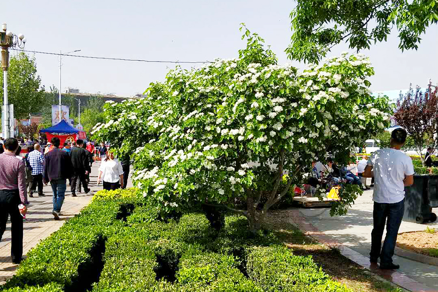 首页- am8亚美集团旗舰厅官网