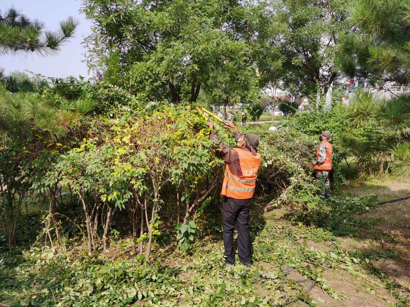 首页- am8亚美集团旗舰厅官网