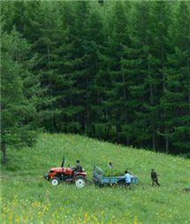 首页- am8亚美集团旗舰厅官网