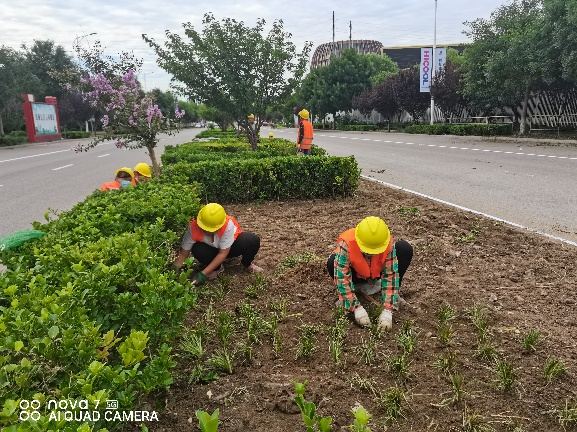 首页- am8亚美集团旗舰厅官网