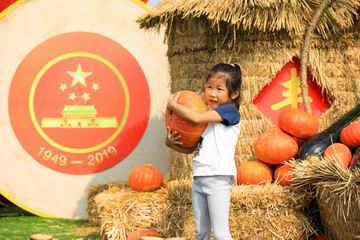 首页- am8亚美集团旗舰厅官网