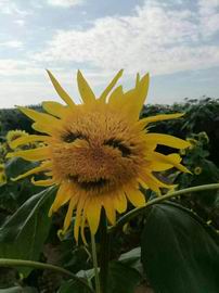 首页- am8亚美集团旗舰厅官网