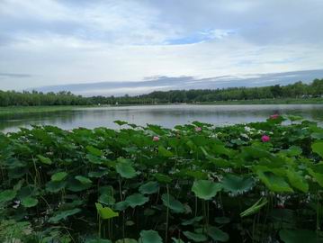 首页- am8亚美集团旗舰厅官网