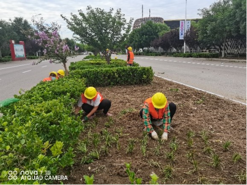 首页- am8亚美集团旗舰厅官网